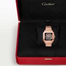 Cartier Santos de Cartier - Bild 8