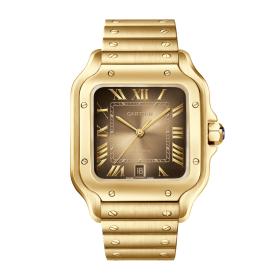 Unisex, Cartier Santos de Cartier WGSA0095